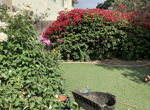 Benny's Gardening Service - Thousand Oaks, CA. Always working hard for you