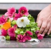 Benton County Funeral Home gallery