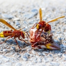 Clarksville Pest Control - Pest Control Equipment & Supplies