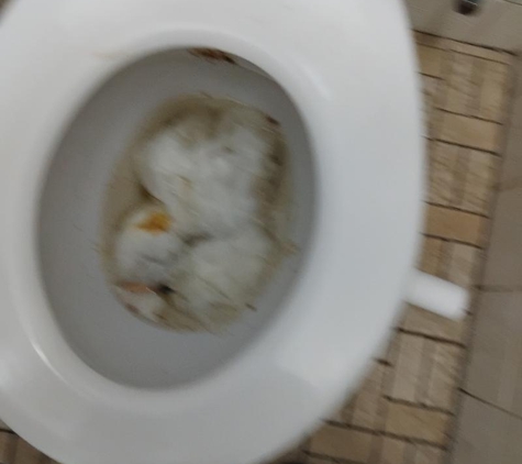 Sylvan Caravan Park - Campbellfield, VIC. Filthy