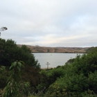 Tomales Bay State Park and Beach