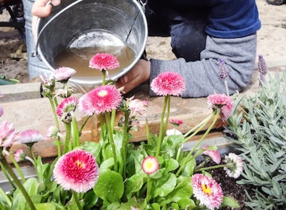 Little Sprouts Learning Garden Childcare & Preschool - Winfield, KS