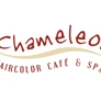 Chameleon Haircolor Cafe & Spa - North Haven, CT