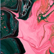 Gallery Image Number 4