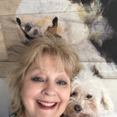 Baseline Animal Pet Boarding & Grooming - Dog & Cat Grooming & Supplies