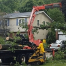 Big Chipper Tree Service - Tree Service