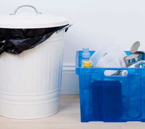 IBS Skip Bins