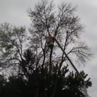 K. L. Tree Care and Removal