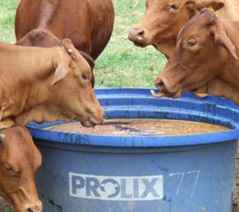 Prolix