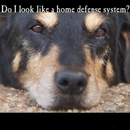 Carolina specialty security sevices - Security Control Systems & Monitoring
