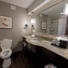 Crowne Plaza Houston Galleria Area by IHG
