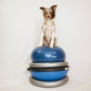 The Martial ARFS - Dog Training