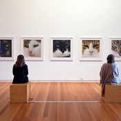 Gallery Image Number 4