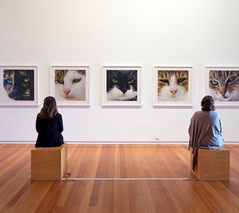 Geelong Gallery - Geelong, VIC
