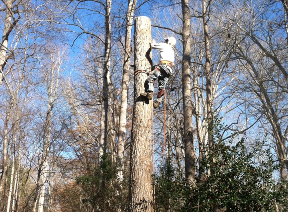 Belmont Tree and Landscaping - Belmont, NC