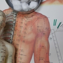 Ok Go Acupuncture Health Care - Acupuncture
