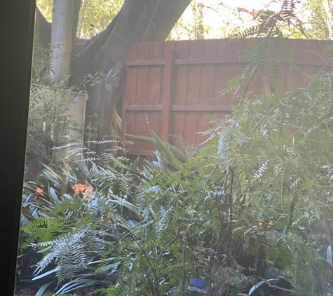 Boss Garden Services - Ringwood, VIC. Before