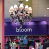 Bloom Dancewear gallery