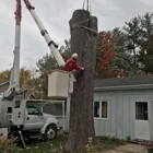 Climbin' Tough Tree Service