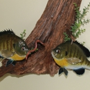 Final Chapter Taxidermy - Taxidermists