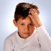 Lice Schmice The Head Lice Experts gallery