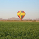 Southern Arizona Balloon Excursions - Balloons-Manned