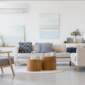 Gallery Image Number 5