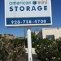 American Mini Storage