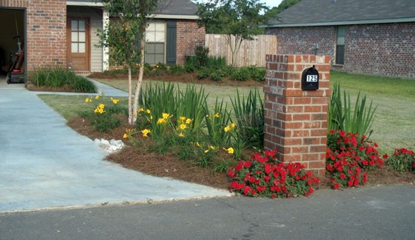 Taylorscapes - Forest Hill, LA