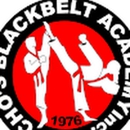 Cho's Black Belt Academy - Martial Arts Instruction