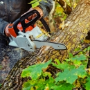 Al's Affordable Tree Service - Tree Service