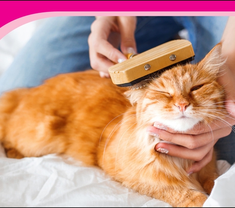 Geelong Cat Retreat - Armstrong Creek, VIC. Over 30 Years Of Experience