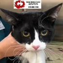 Animal Medical Center of Casa Grande PLLC - Veterinarians