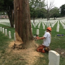 Alleys Tree Service