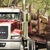 Performance Truck gallery