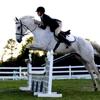 Riding Stables of Saddletree gallery