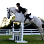 Riding Stables of Saddletree