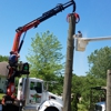 Td's Tree Service & STUMP Removal gallery