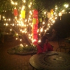 Sopa Thai Cuisine gallery