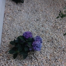 Martinez Landscaping and Pinestraw Service