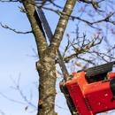 Chris's Lawn Service - Tree Service