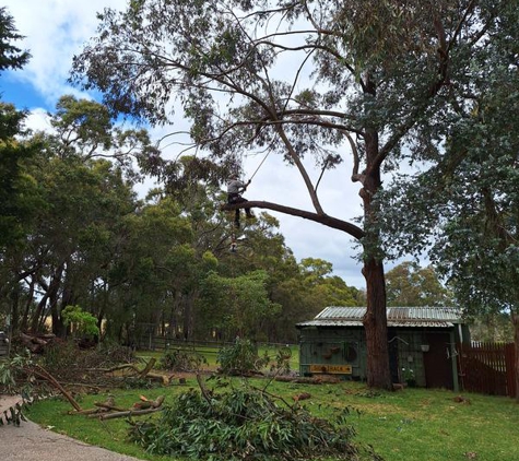 Cape Tree Service Mount Barker, Porongurup and Kendenup - Mount Barker, WA