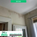 Mold Act of Plano