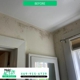 Mold Act of Plano