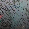 Stubby's Dog & Car Wash gallery