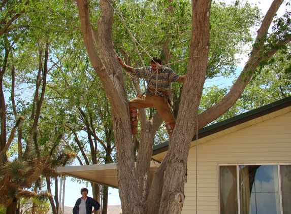 Wallace Tree Service - Kingman, AZ