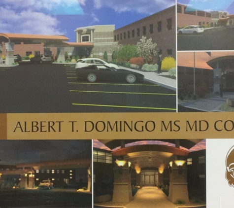 Domingo Albert T MS MD - Canton, OH