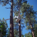 Kenco Tree Service - Tree Service