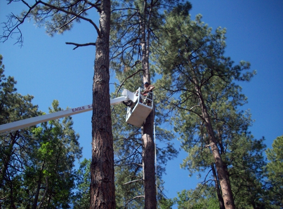 Kenco Tree Service - Prescott, AZ