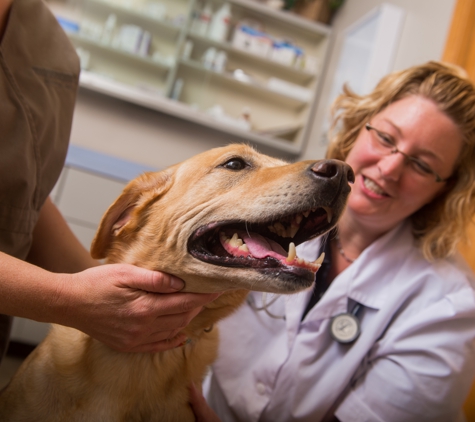 Pipestone Veterinary Services - Pipestone, MN